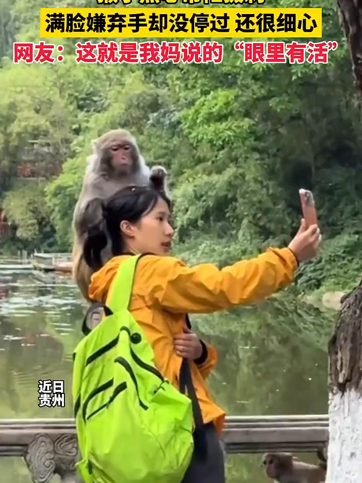 @中国蓝国际