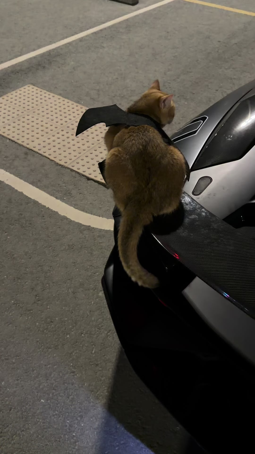 @brz