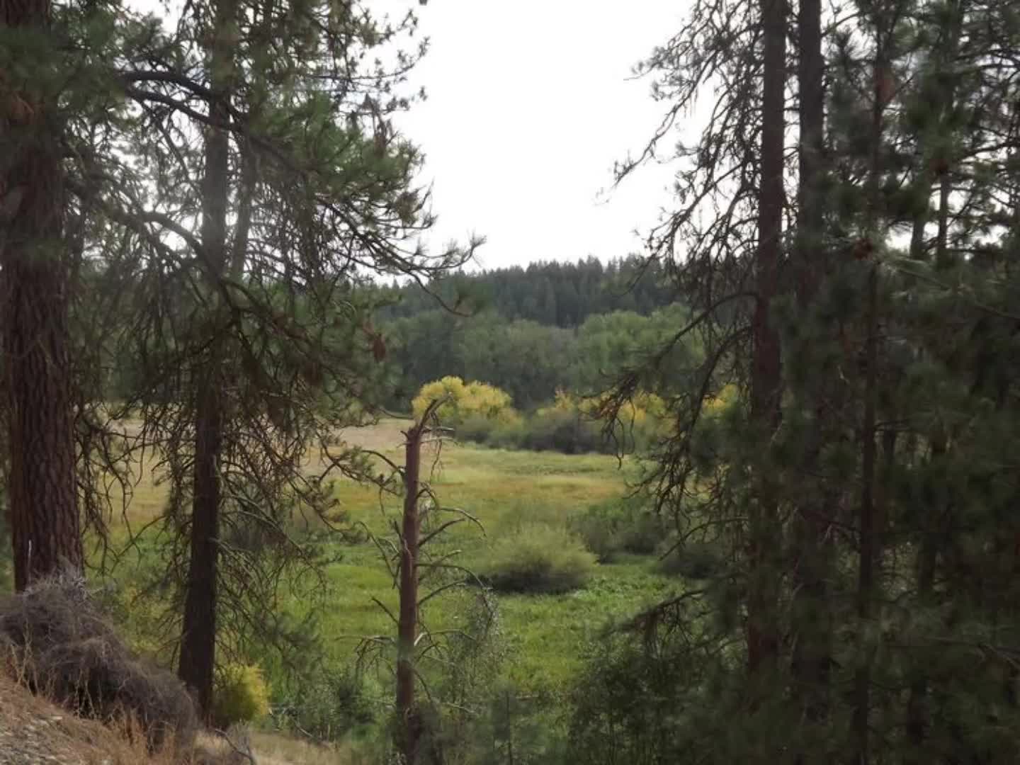 @пздц