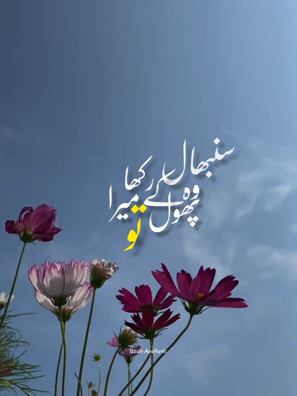 @𝙄 𝙕 𝙕 𝘼 𝙃 🕊️•