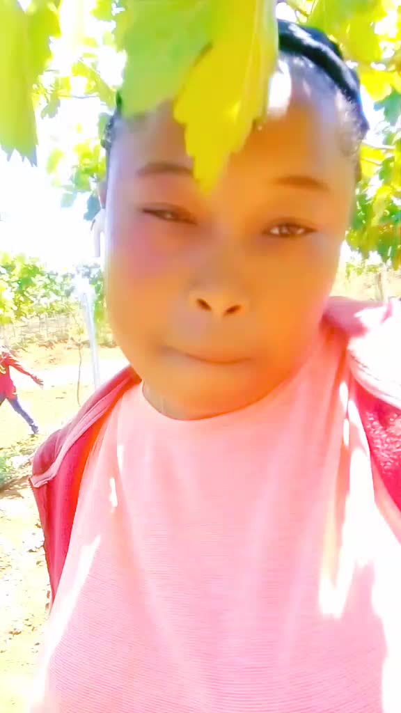 @rosemanie31