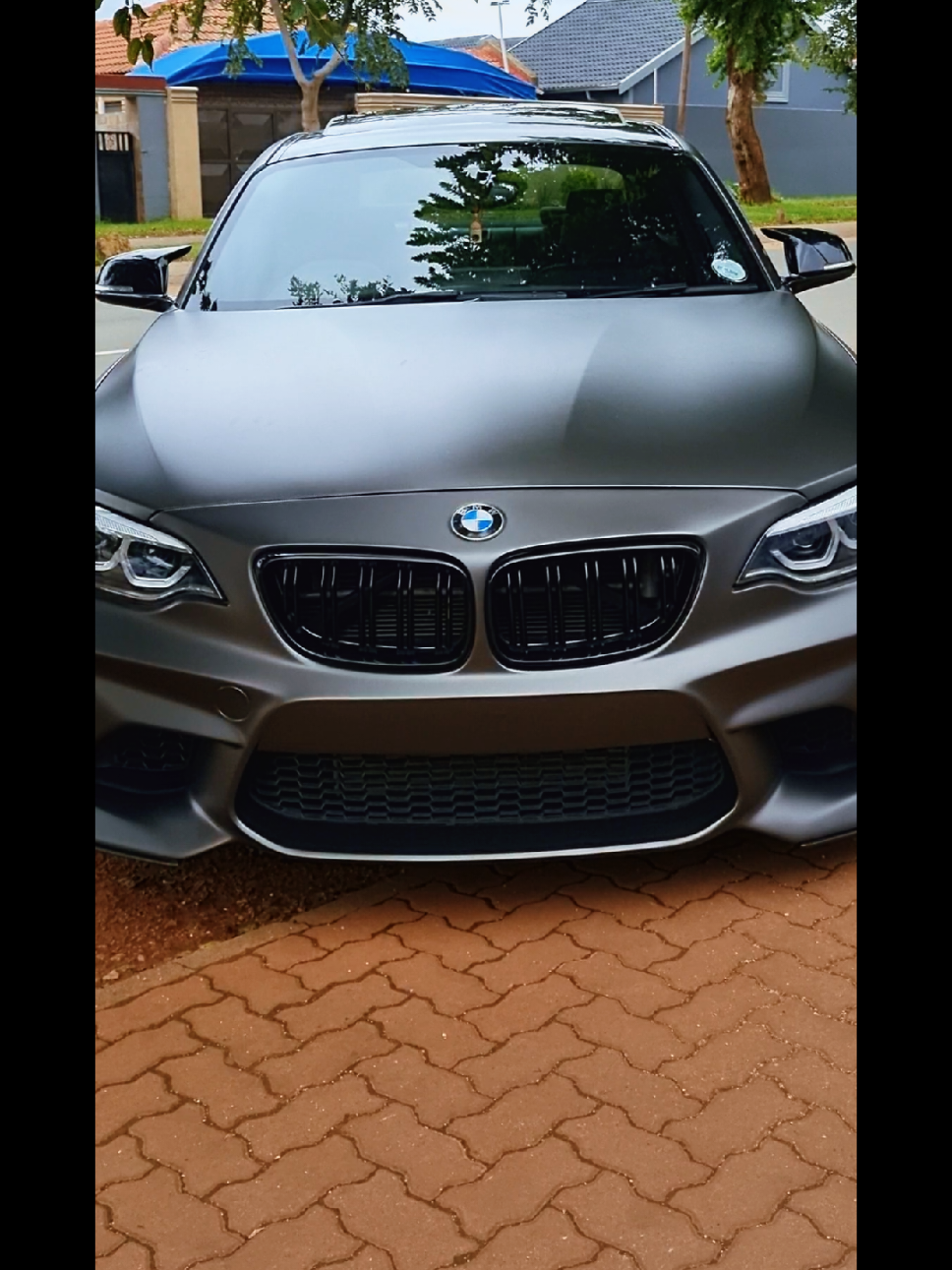 @Protea.north_shorts_