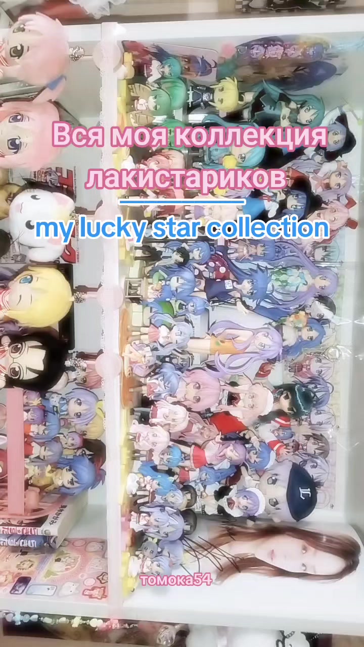 @tomoka54