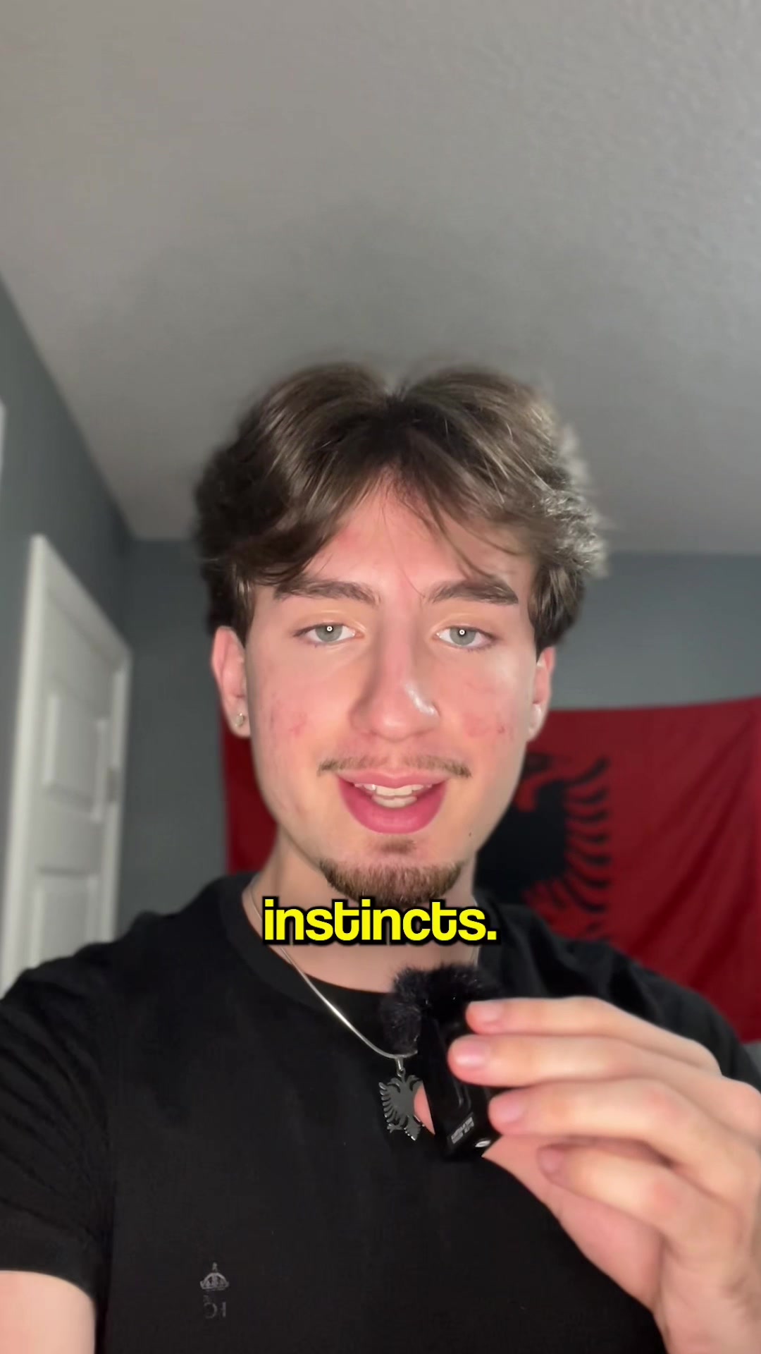 @leonit 🇦🇱