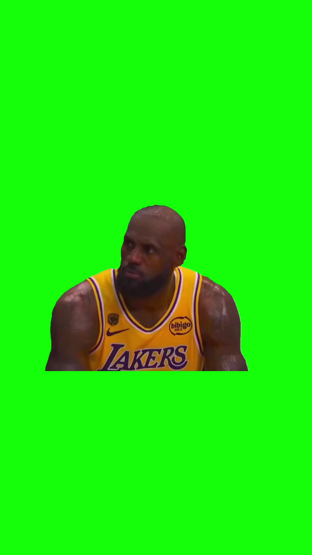 @Chief Green Screens