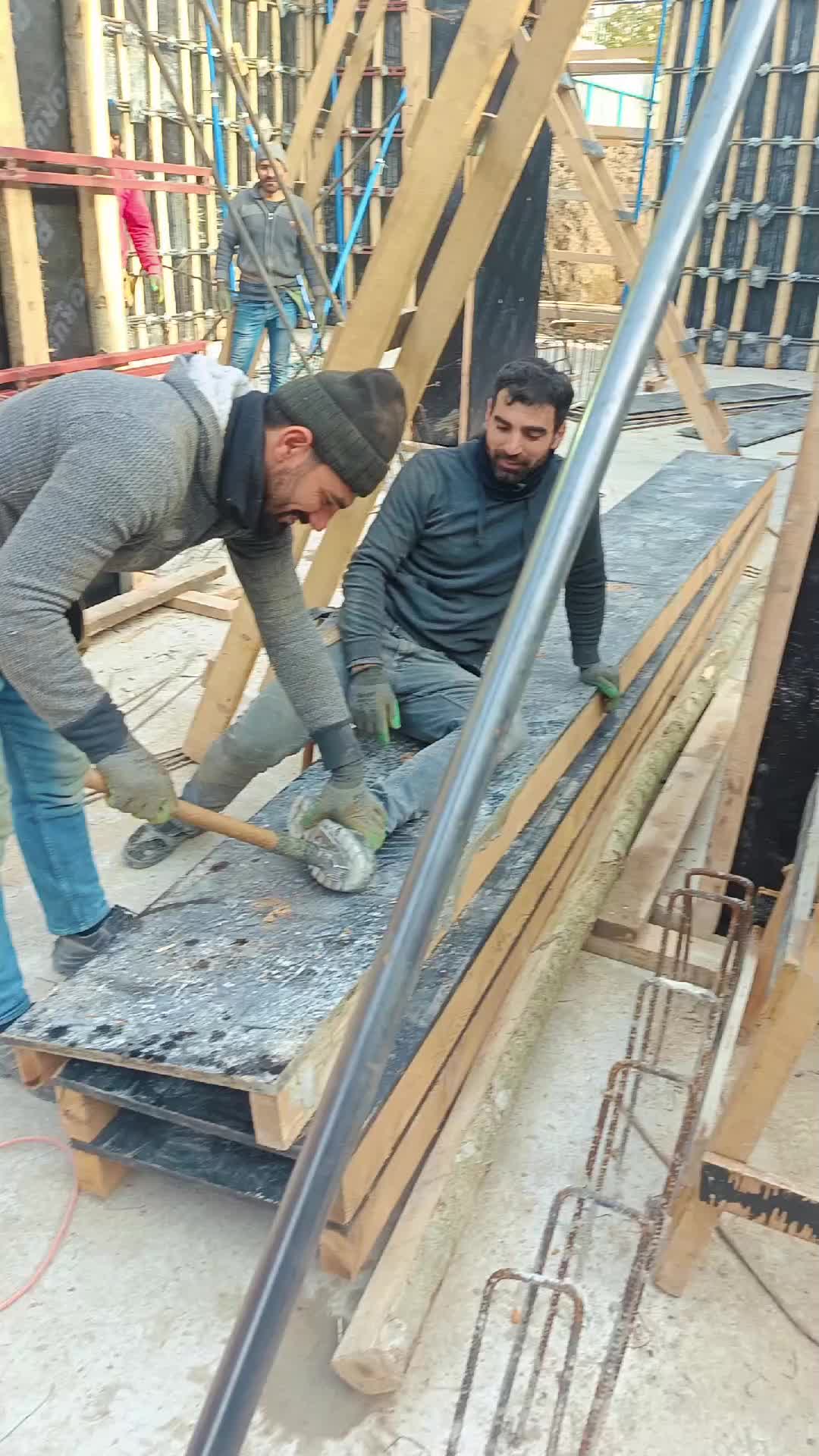 @Xalo Şeyhmus
