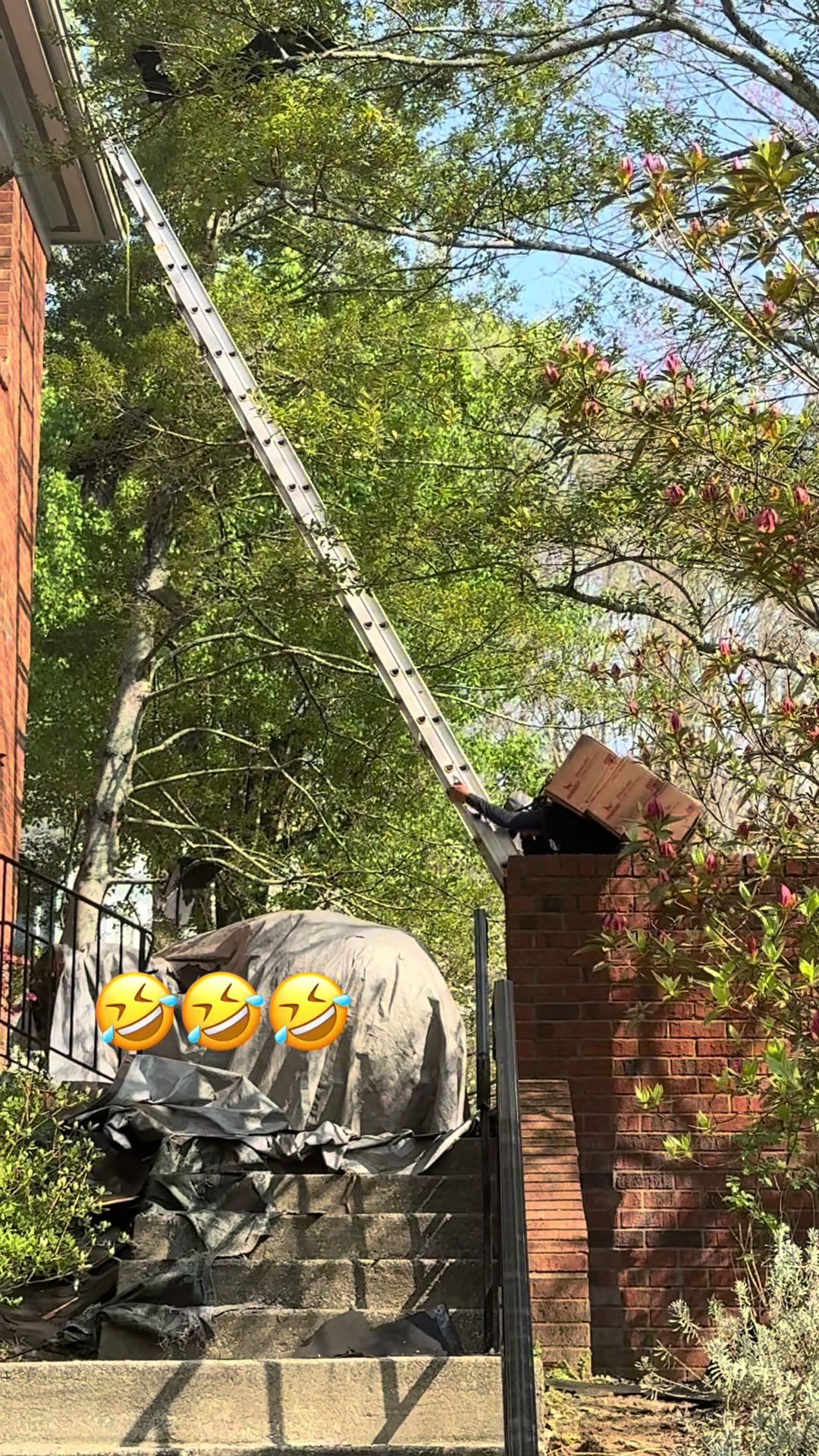 @๐ฅ๐ฅฒ๐ด๐ถ๐๐พ.๐ฅโค๏ธ๐ฉน