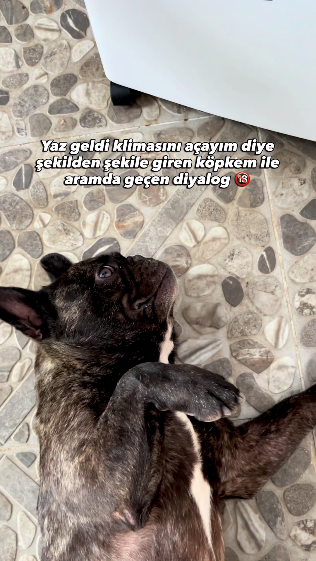 @Ali Can Çalışkan