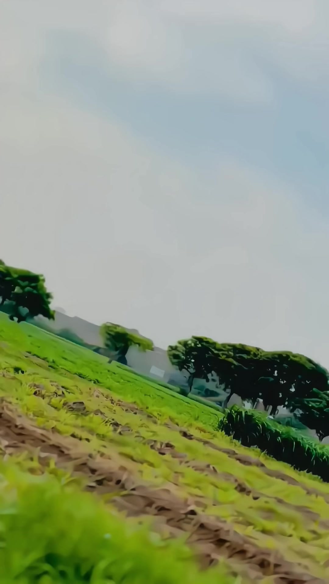 @𝐌𝐊🚩بنگش