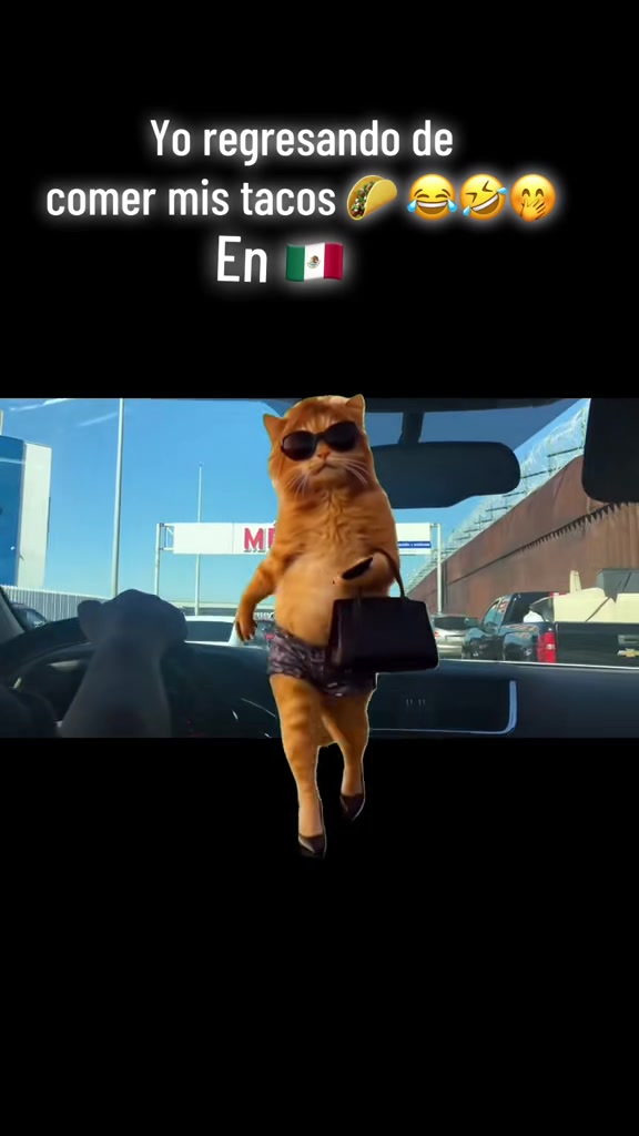 @soyXol888