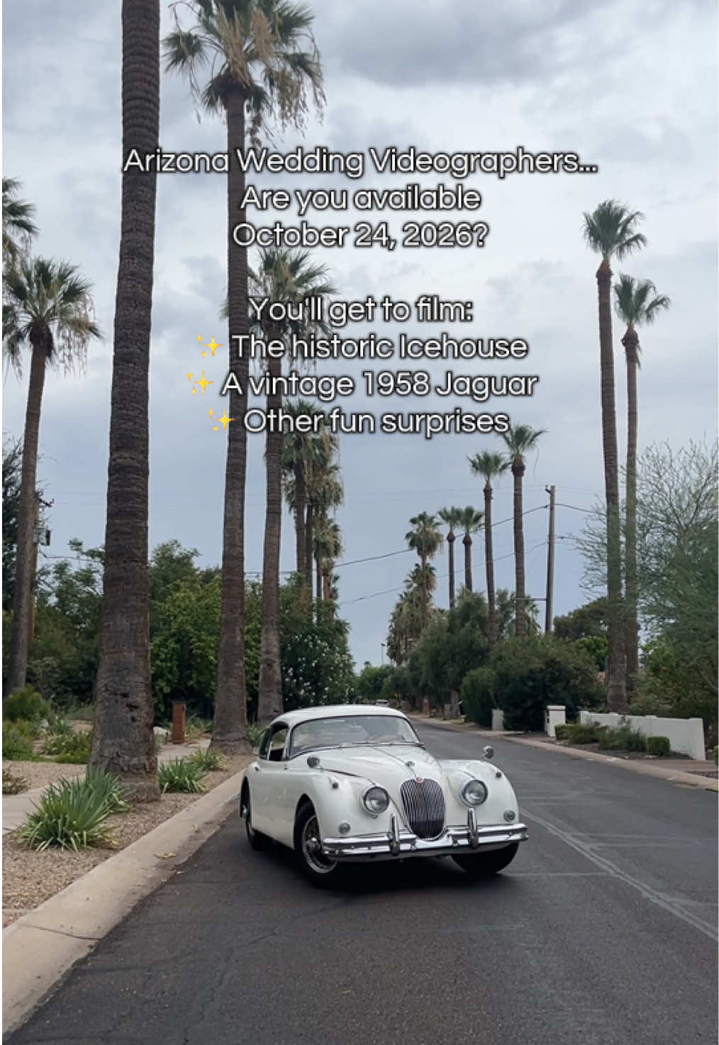 @Taylor | Blue Fir DIY Crafts
