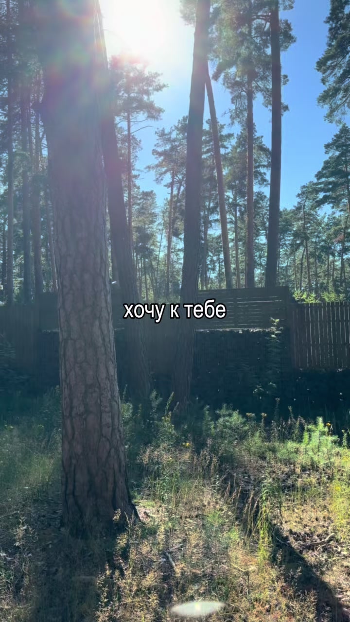 @𝐥𝐢𝐩𝐬𝐢𝐧𝐠 𝐦𝐮𝐬𝐢𝐜