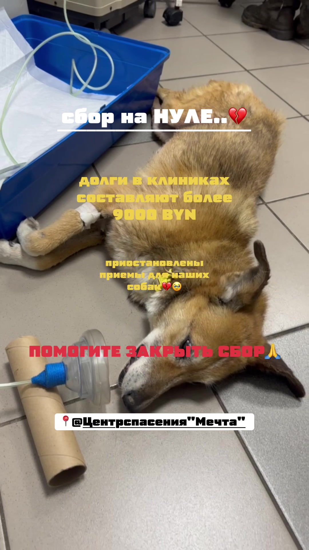 @o.alekseeva