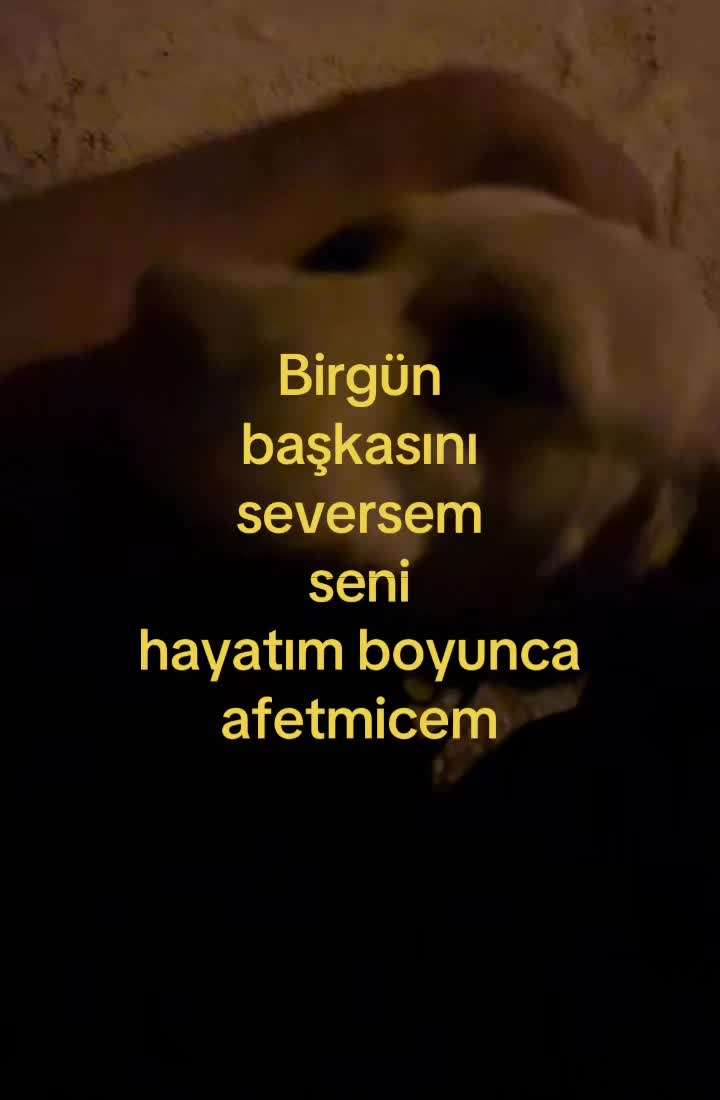 @uunknowwnusseer
