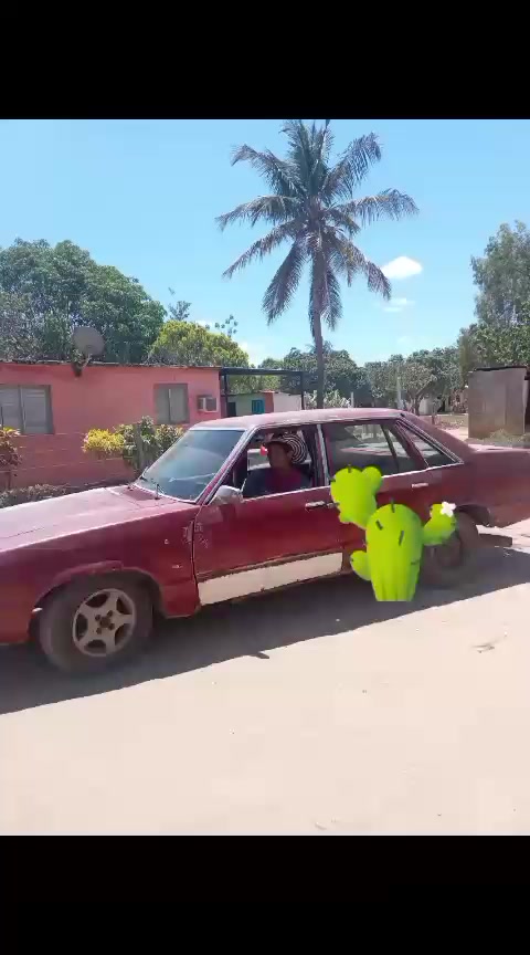 @Ronaikel Villalobos