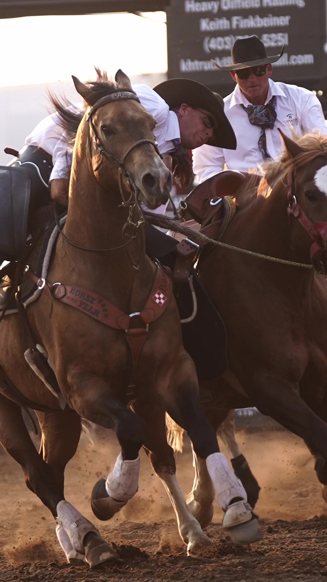 @Hanginghorses