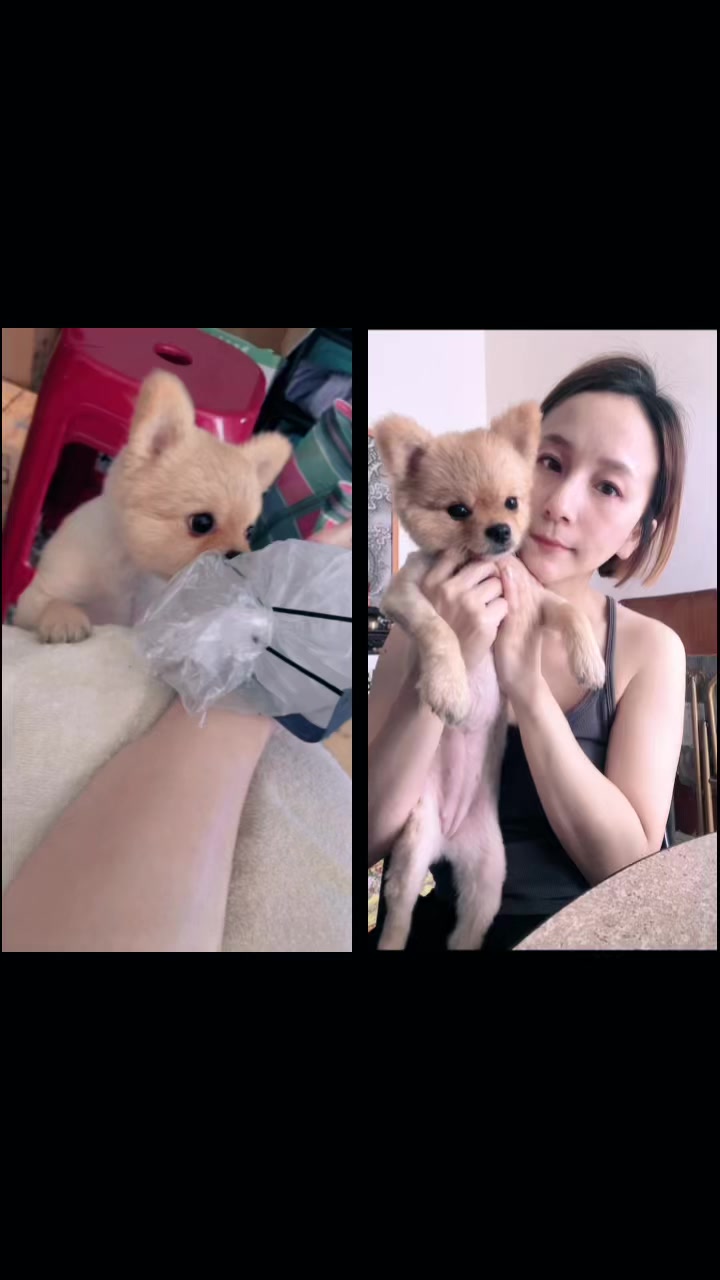 @honey哈尼