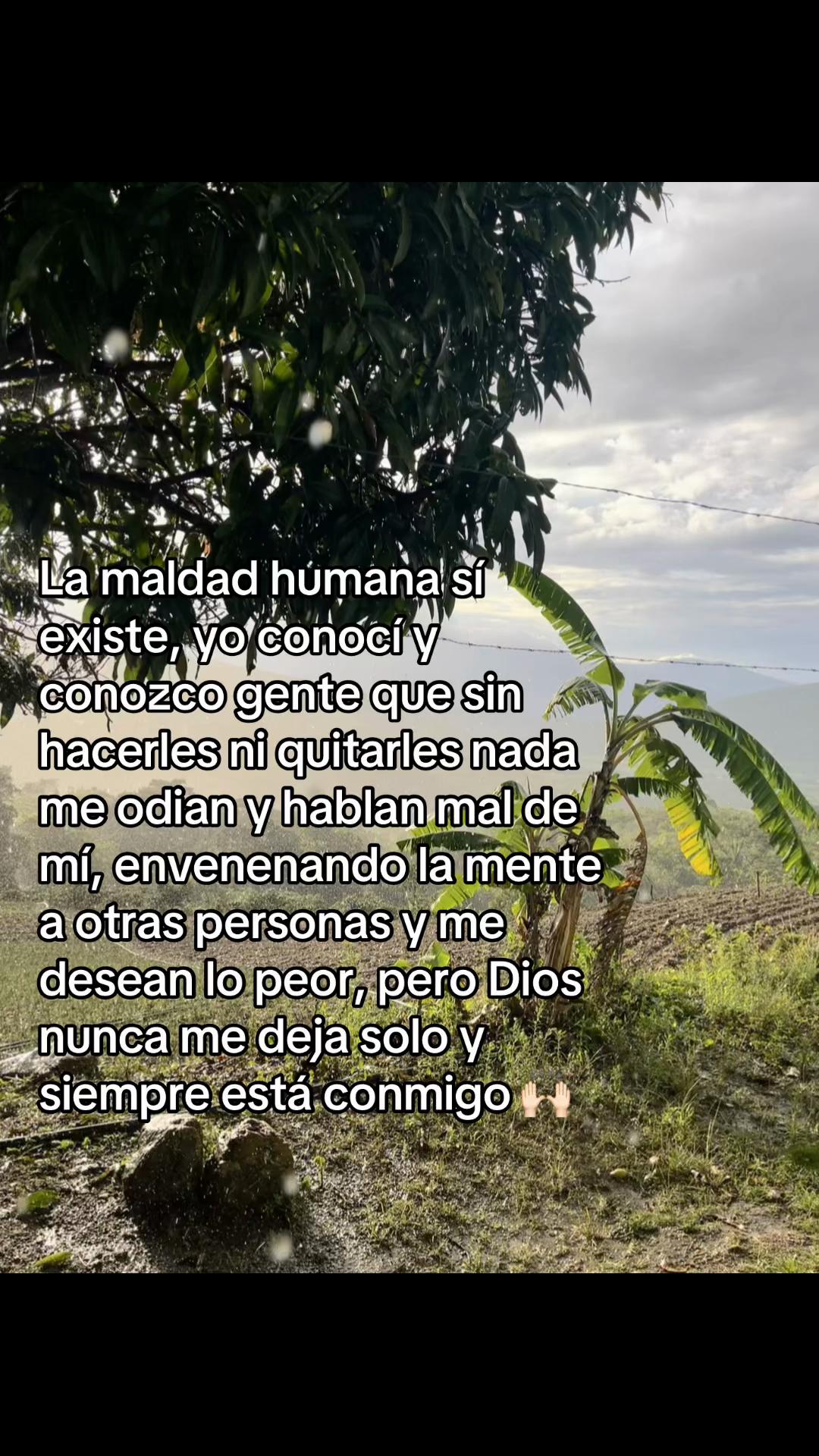 @Jefferson Sequera