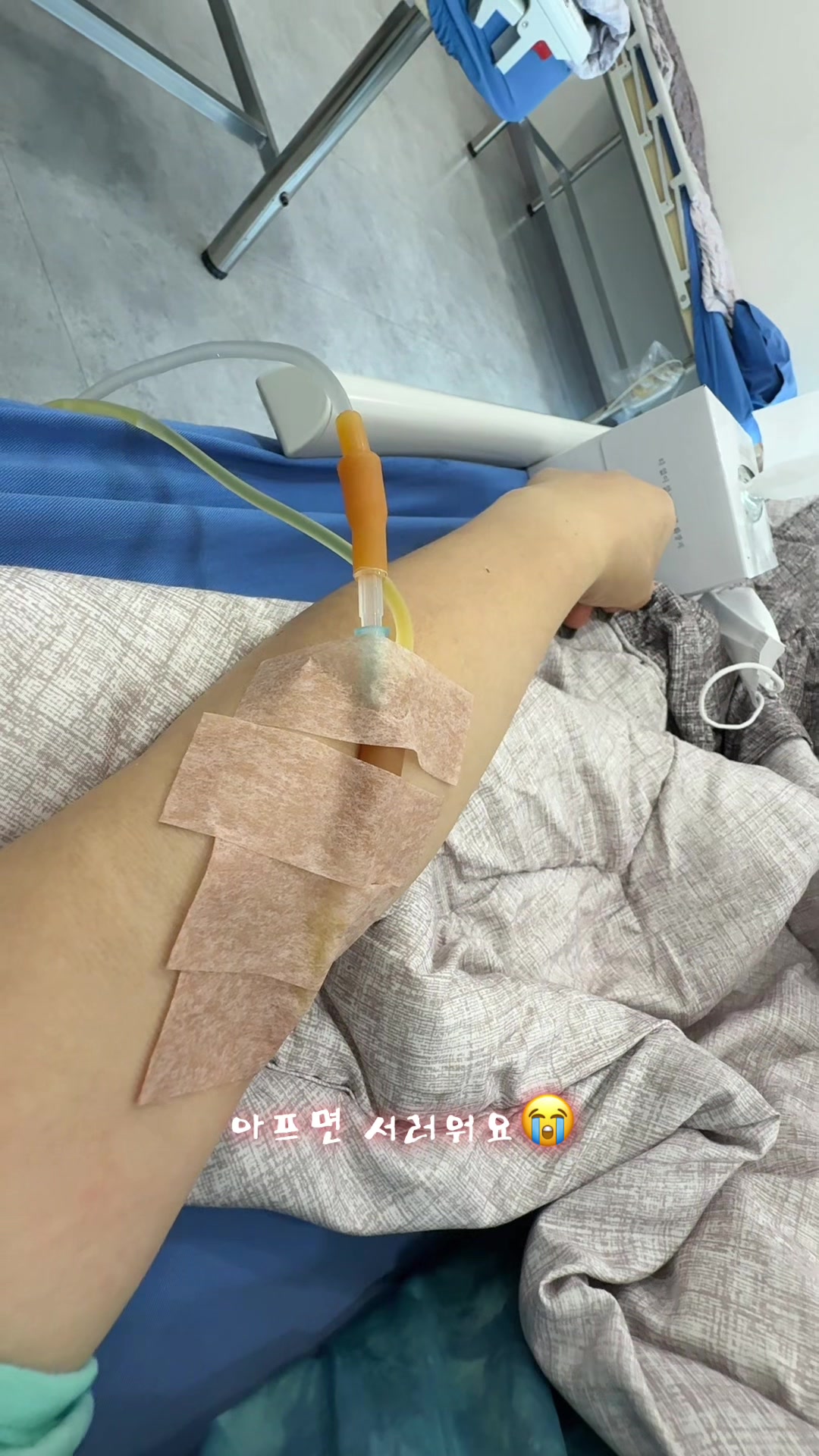 @지예건어물❤️고애❤️
