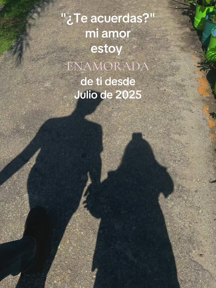 @saju