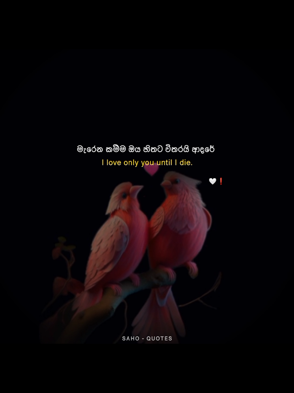 @𝐌𝐮𝐭𝐡𝐮 𝐦𝐚𝐥𝐥