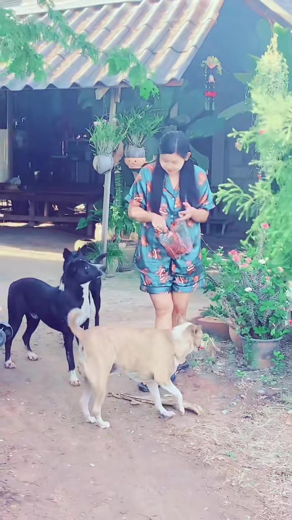 @🦋ပန်းနု🩵