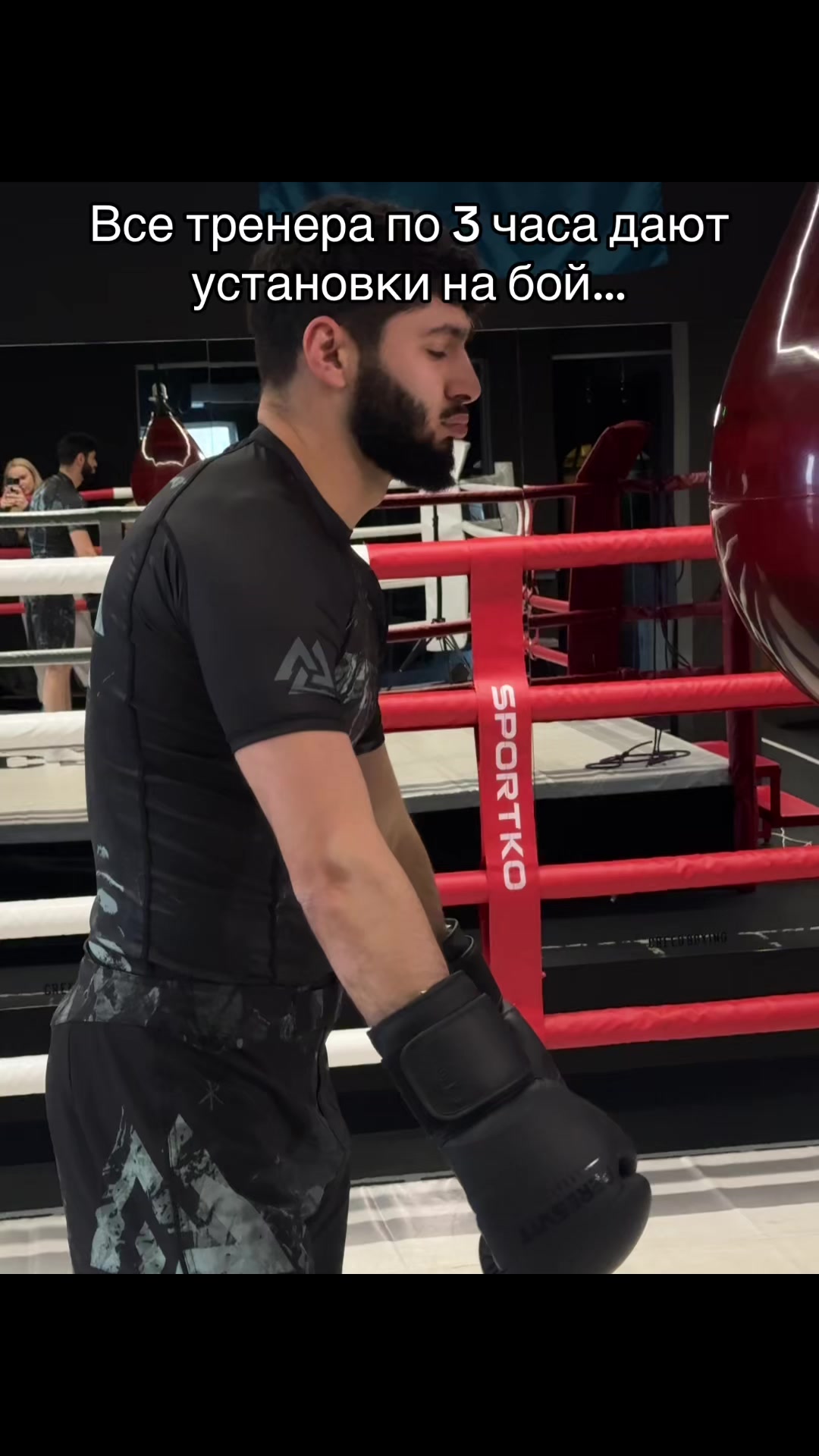 @Taymaz🥊