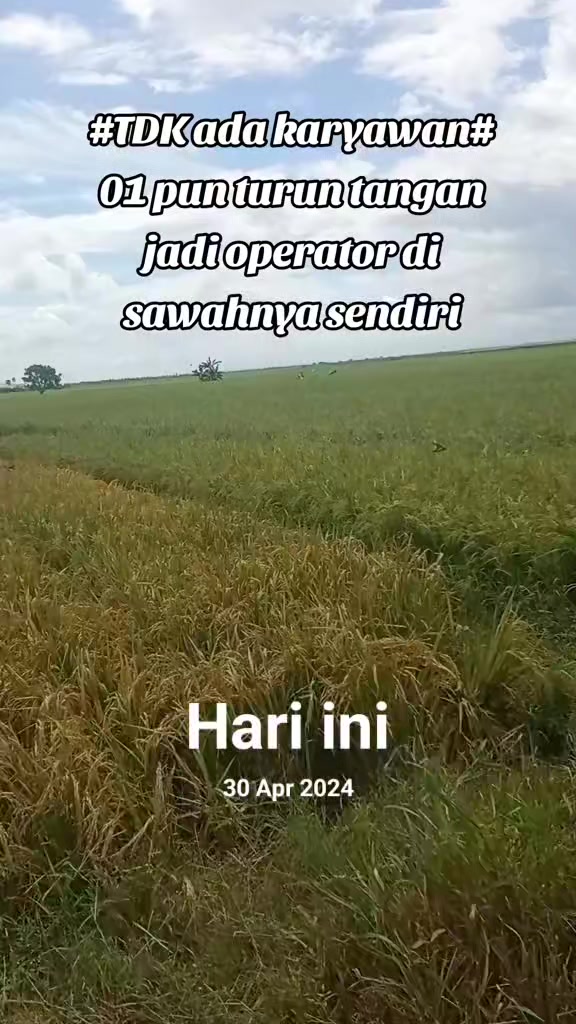 @iwan99