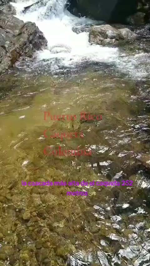 @ALEXANDER .F