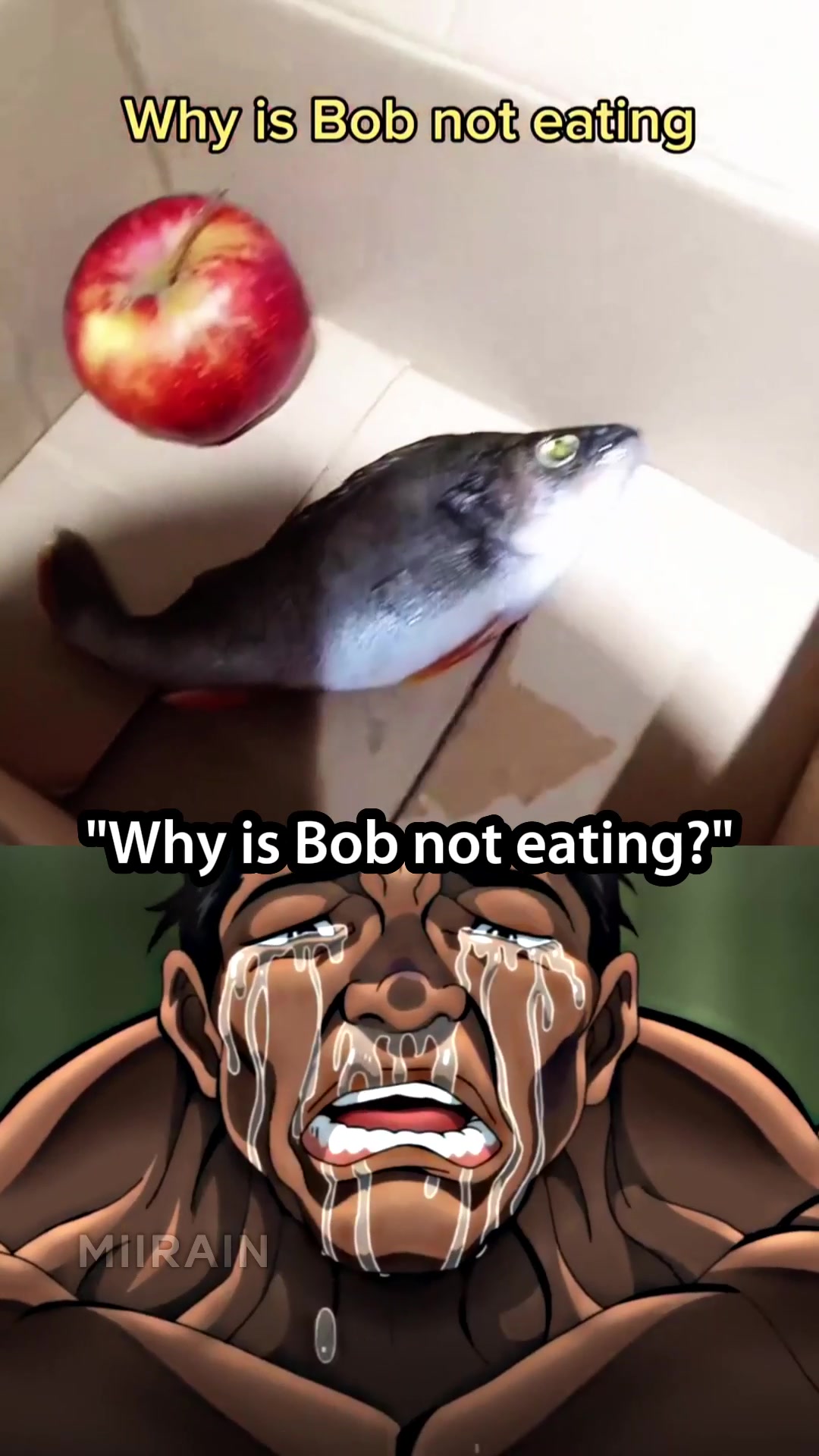 @MiiRain
