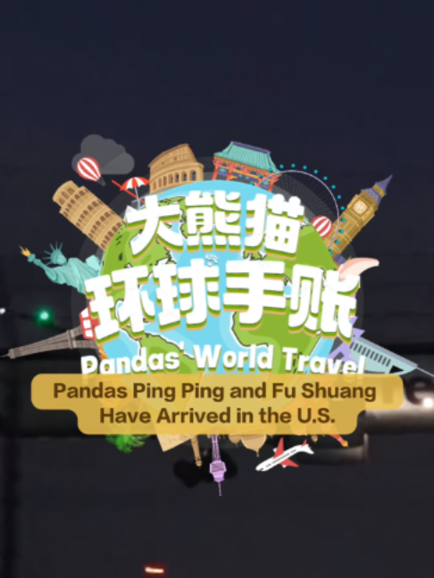 @iPanda
