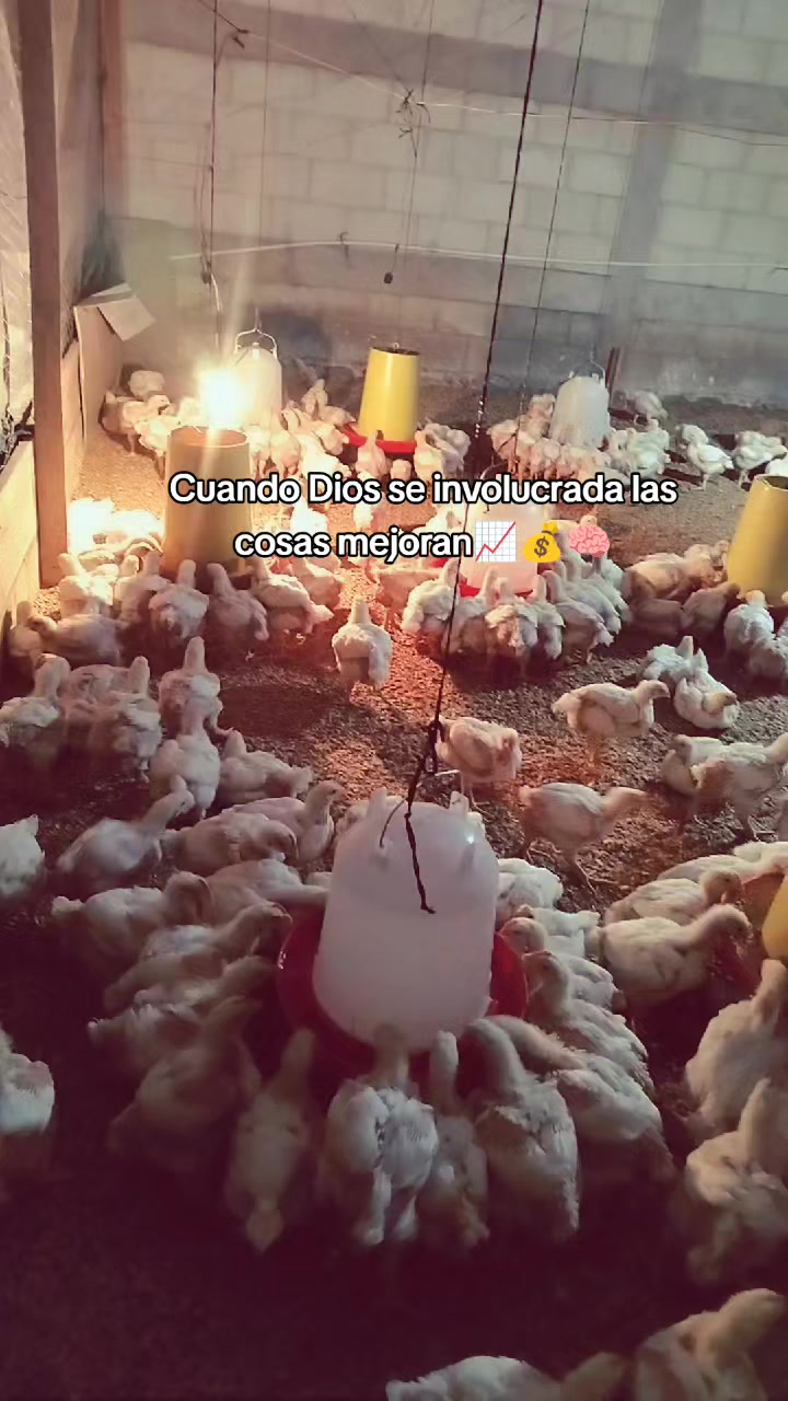 @ElyAlonzo