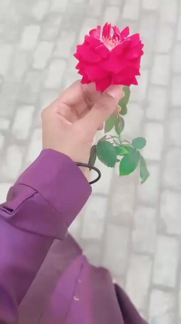 @𝒩𝒾ش𝒜𝒶🫣🫶🏻