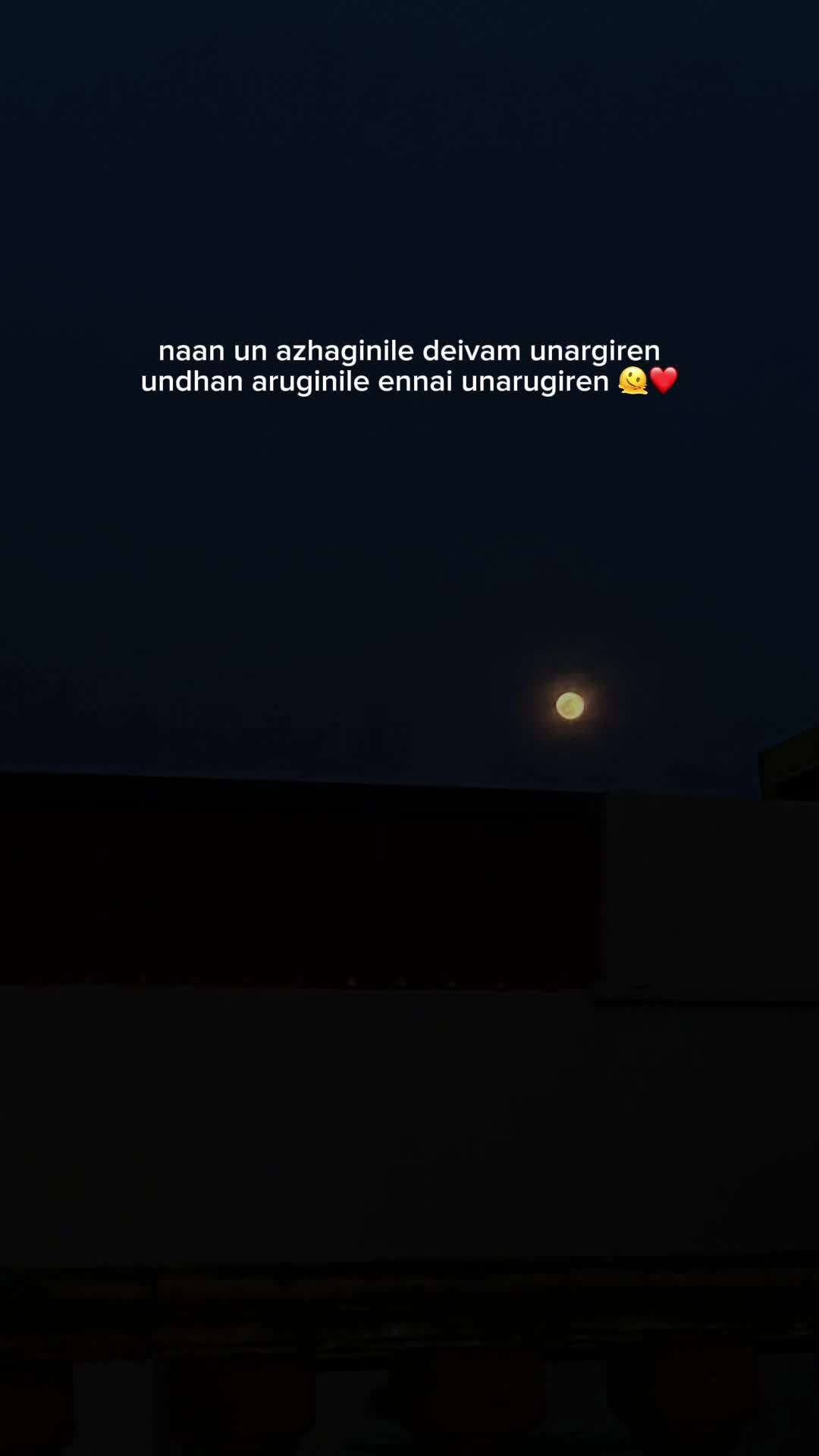 @vshaa8_