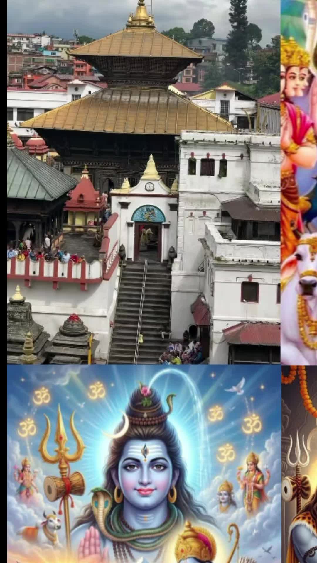 @suntalipahari