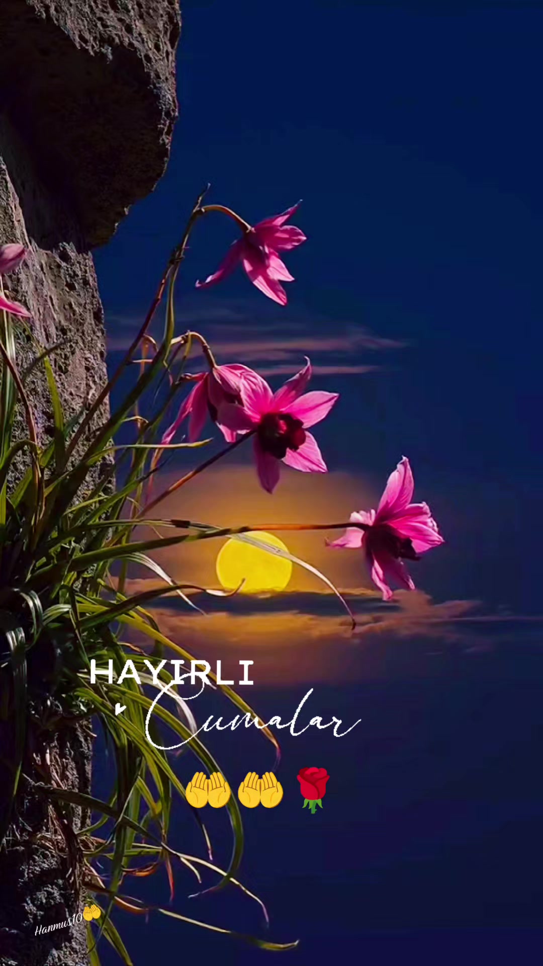 @🦋 Hanife 🐞