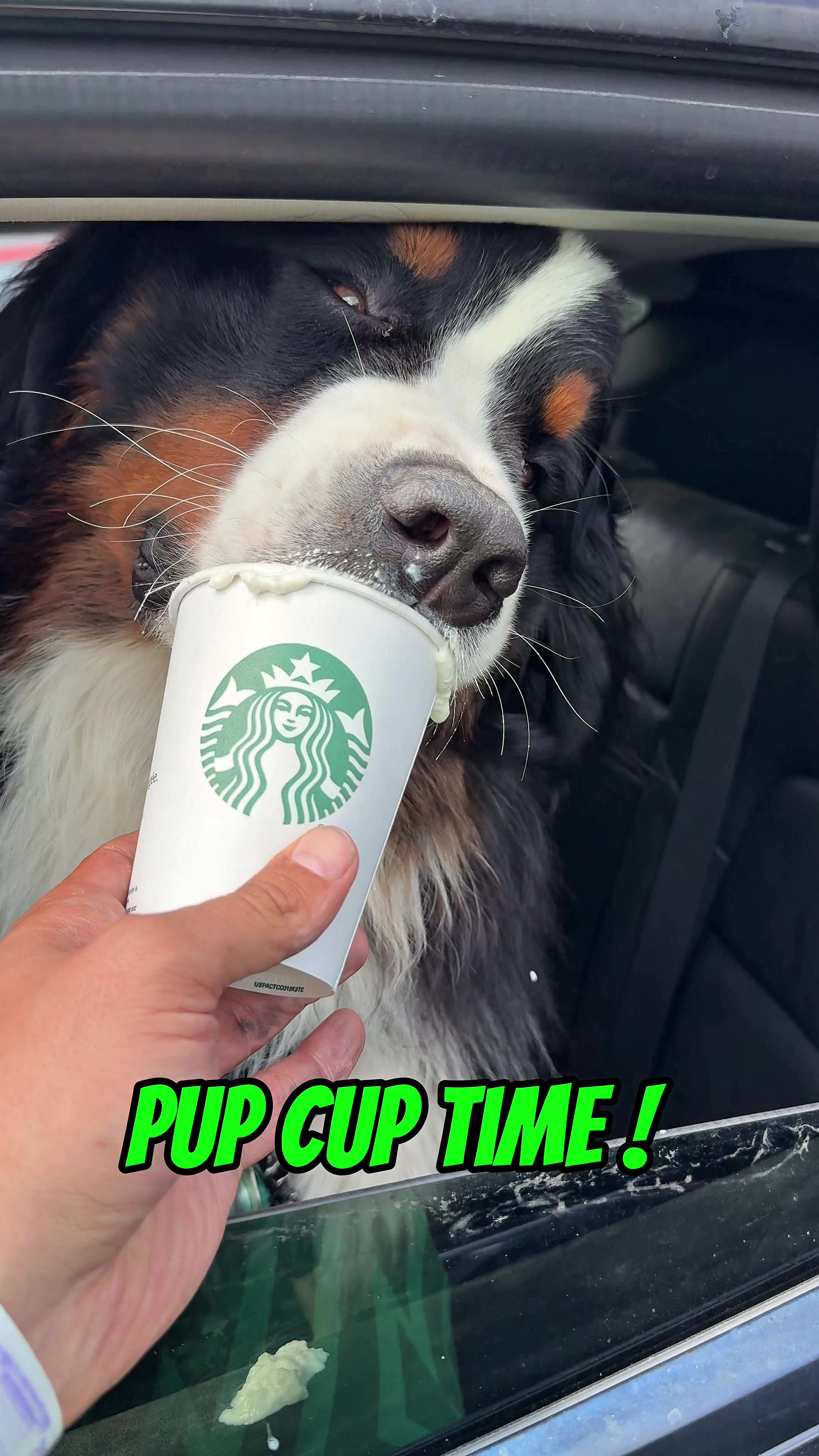 @Woody The Bernese