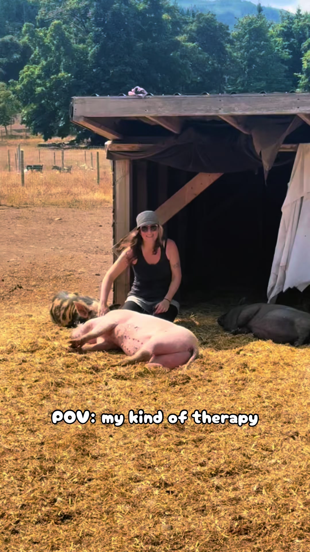 @Home for Hooves 🐽