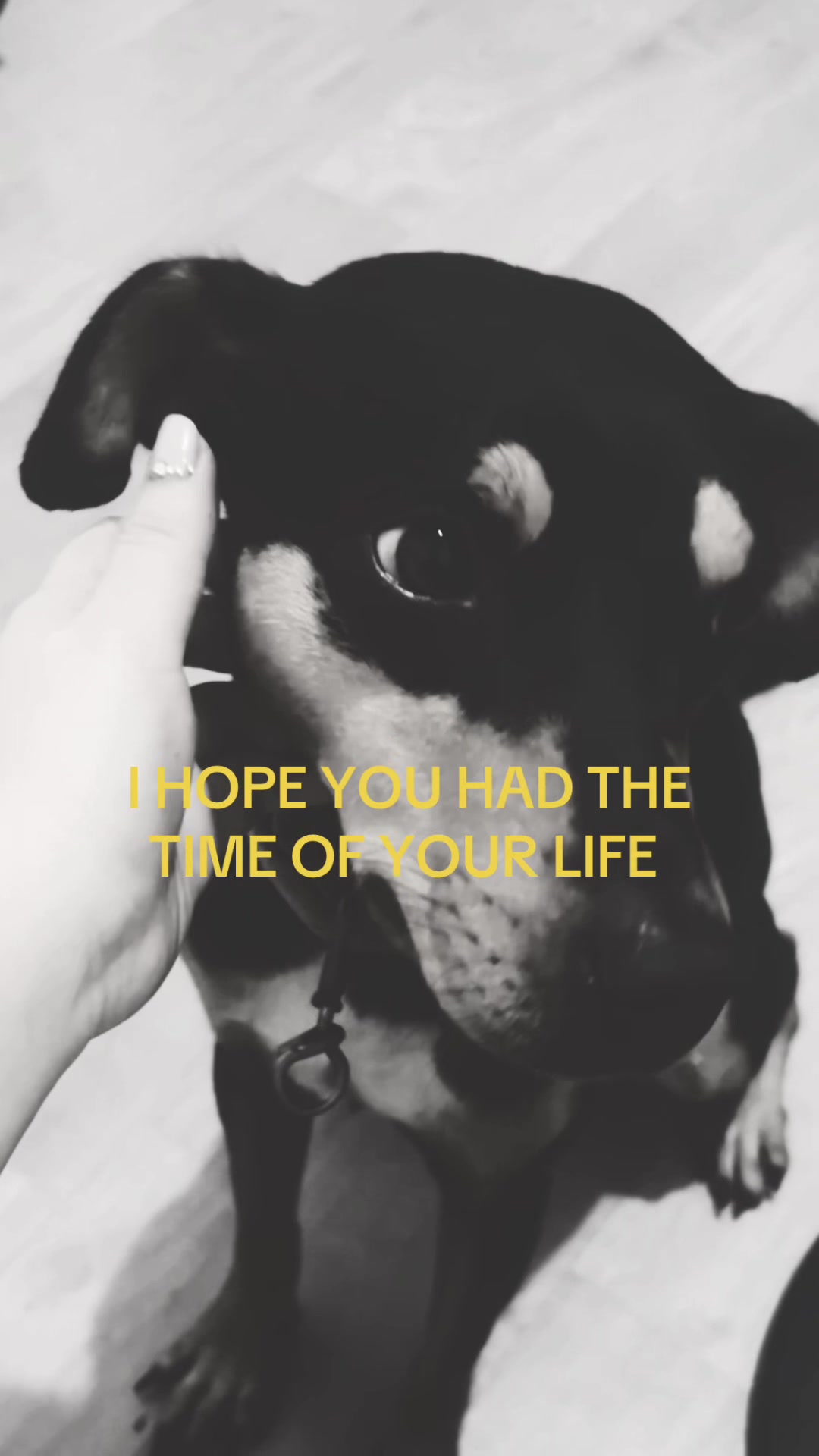 @Vern