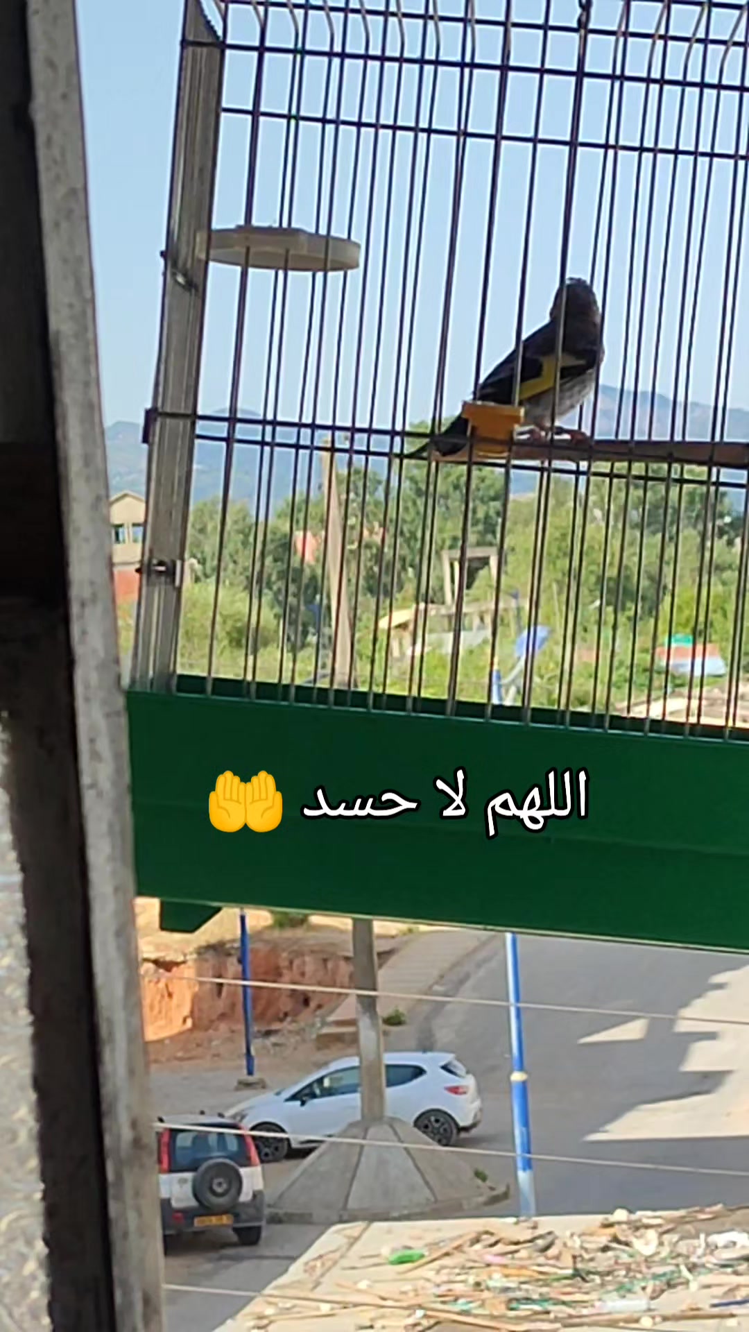 @🥀🖤 Yasser 🥀🖤