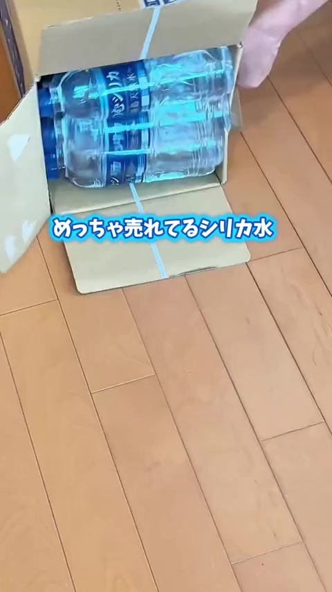 @しんのすけ🐾