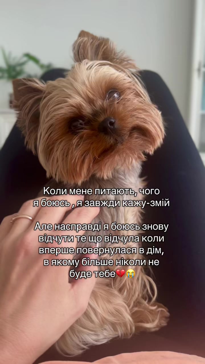 @Мальтипух Кіра