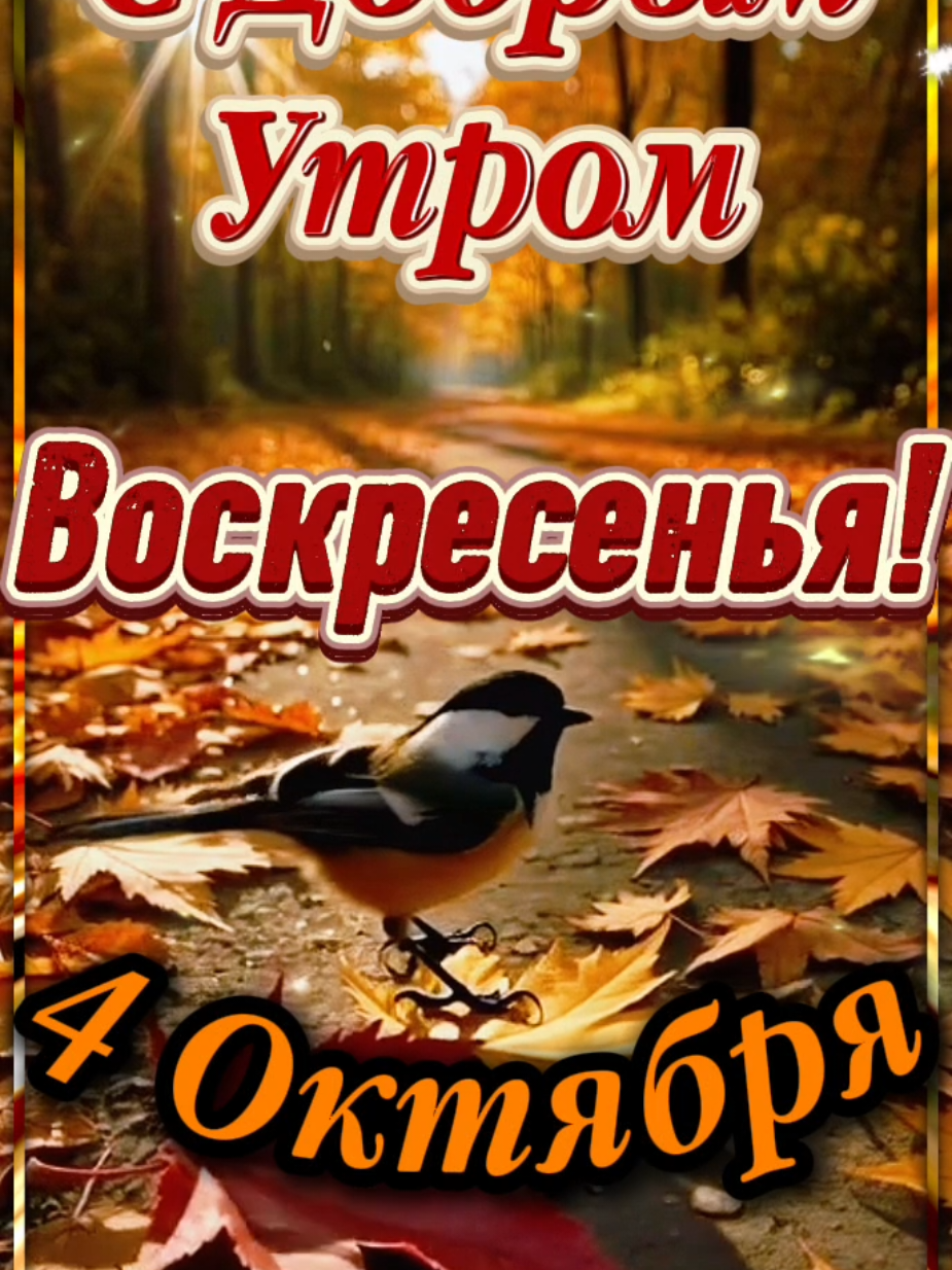 @Ольга