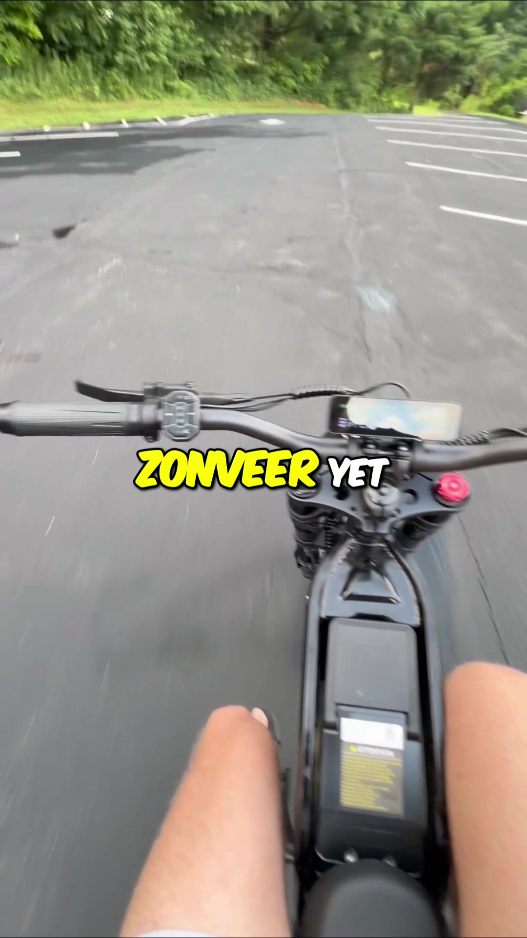 @teejayscoots