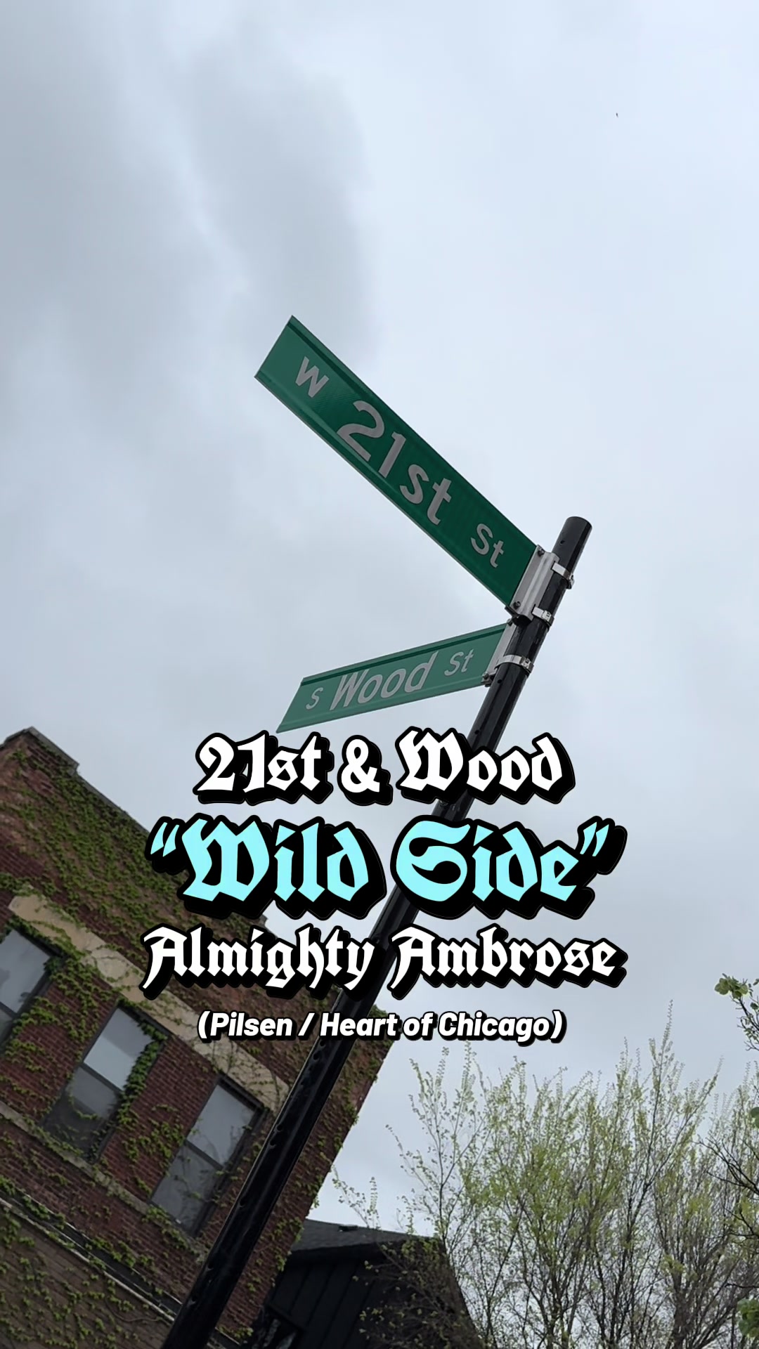 @chitownhoodart773