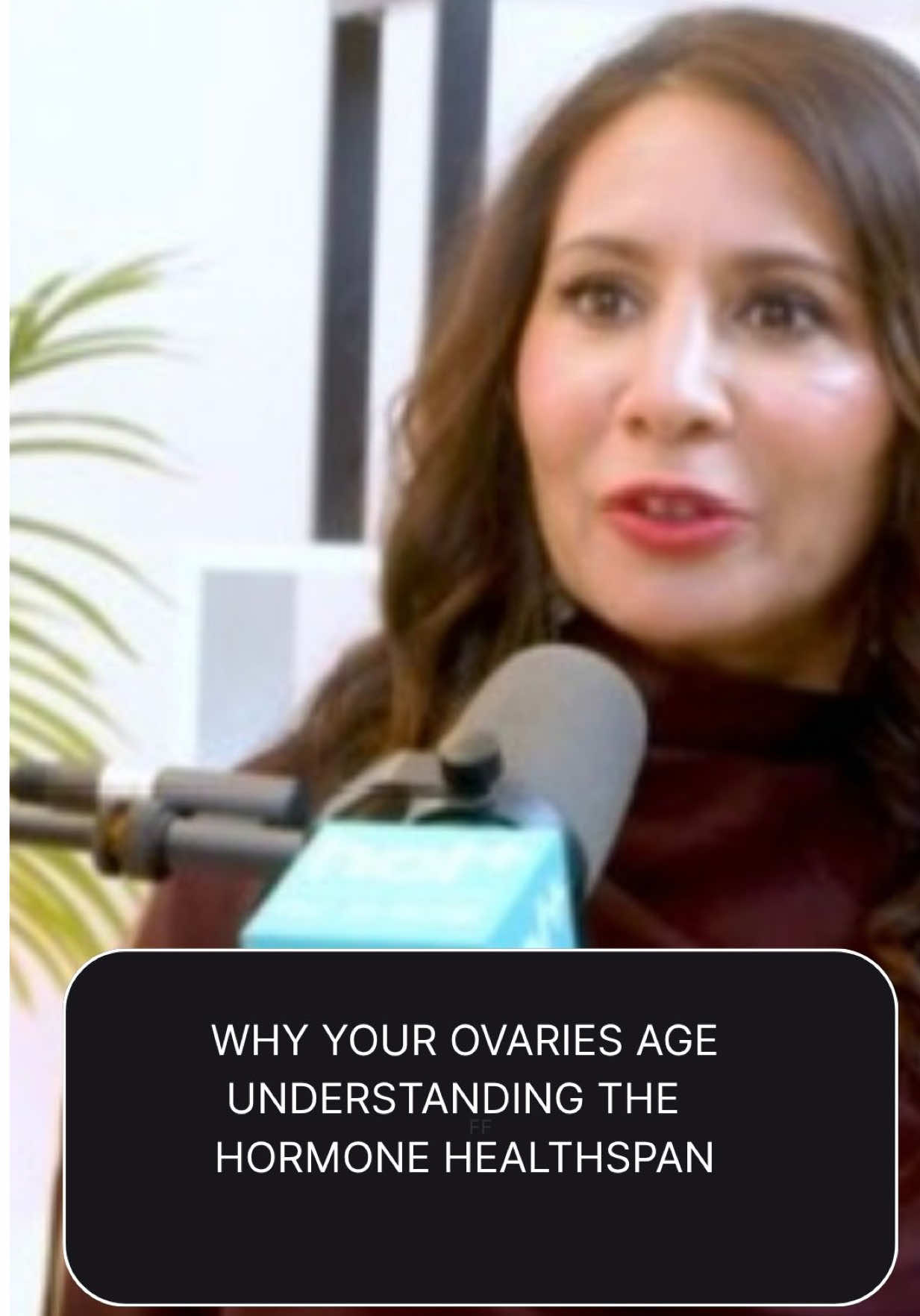 @Dr. Taz MD