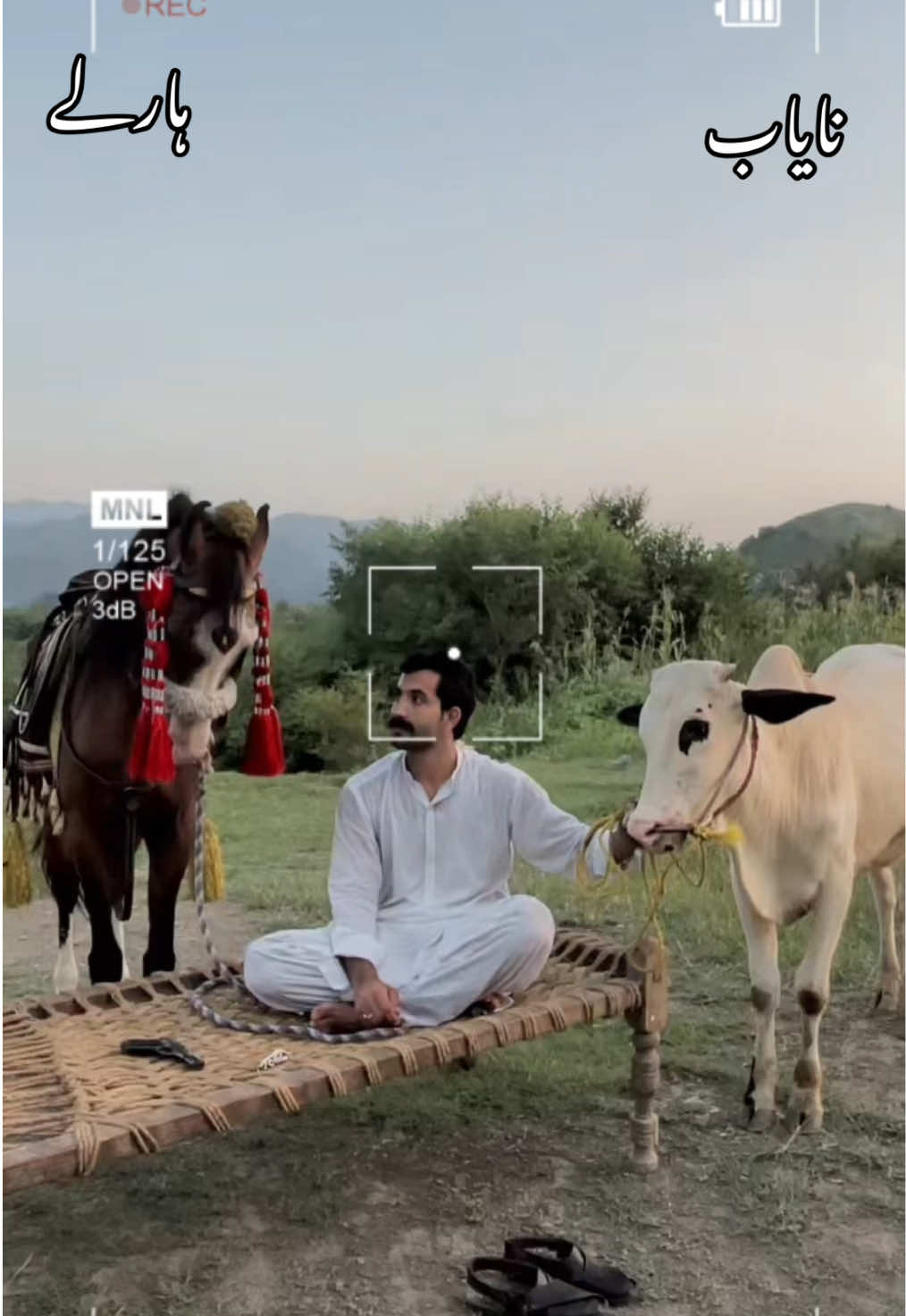 @Sikandar Jadoon