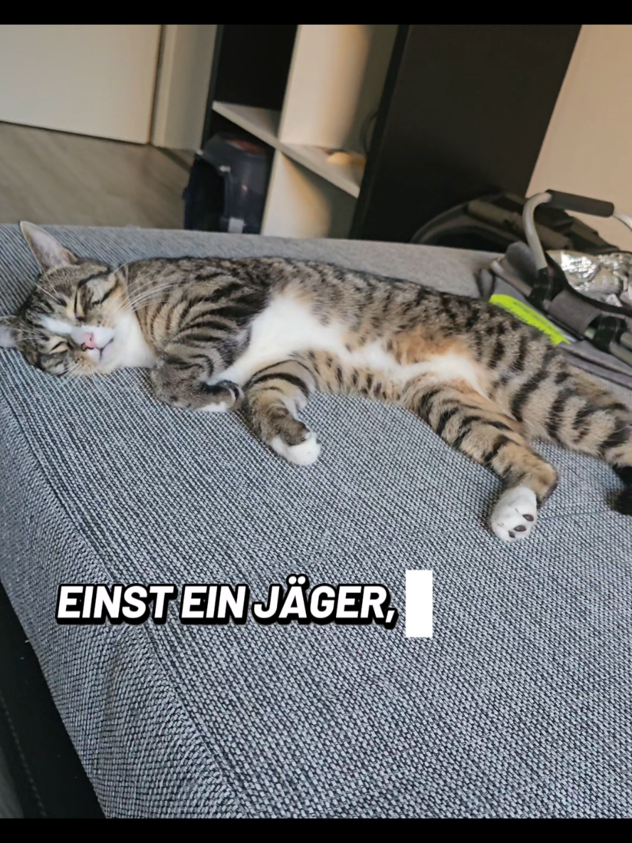 @Ludwig