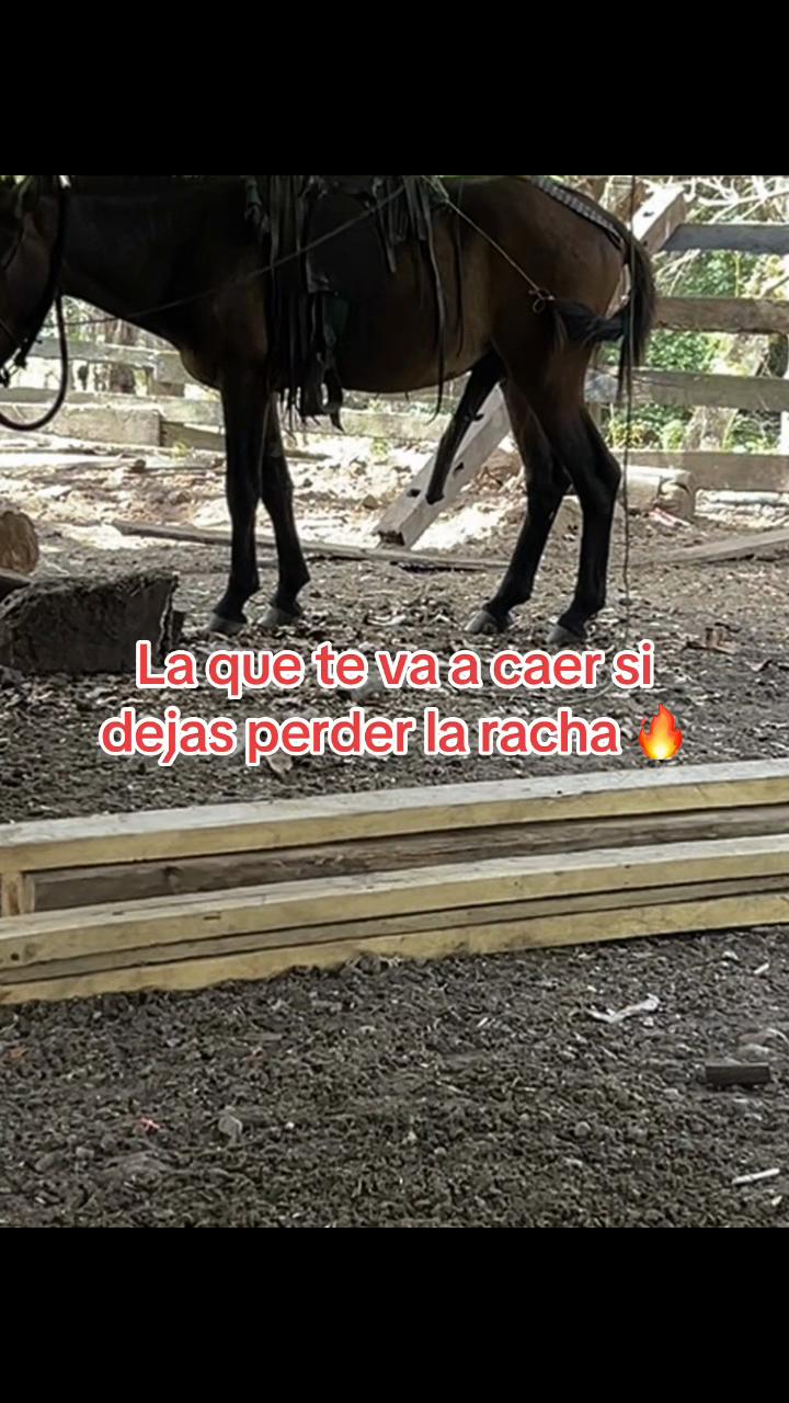 @Adolfo D&iacute;az🤠