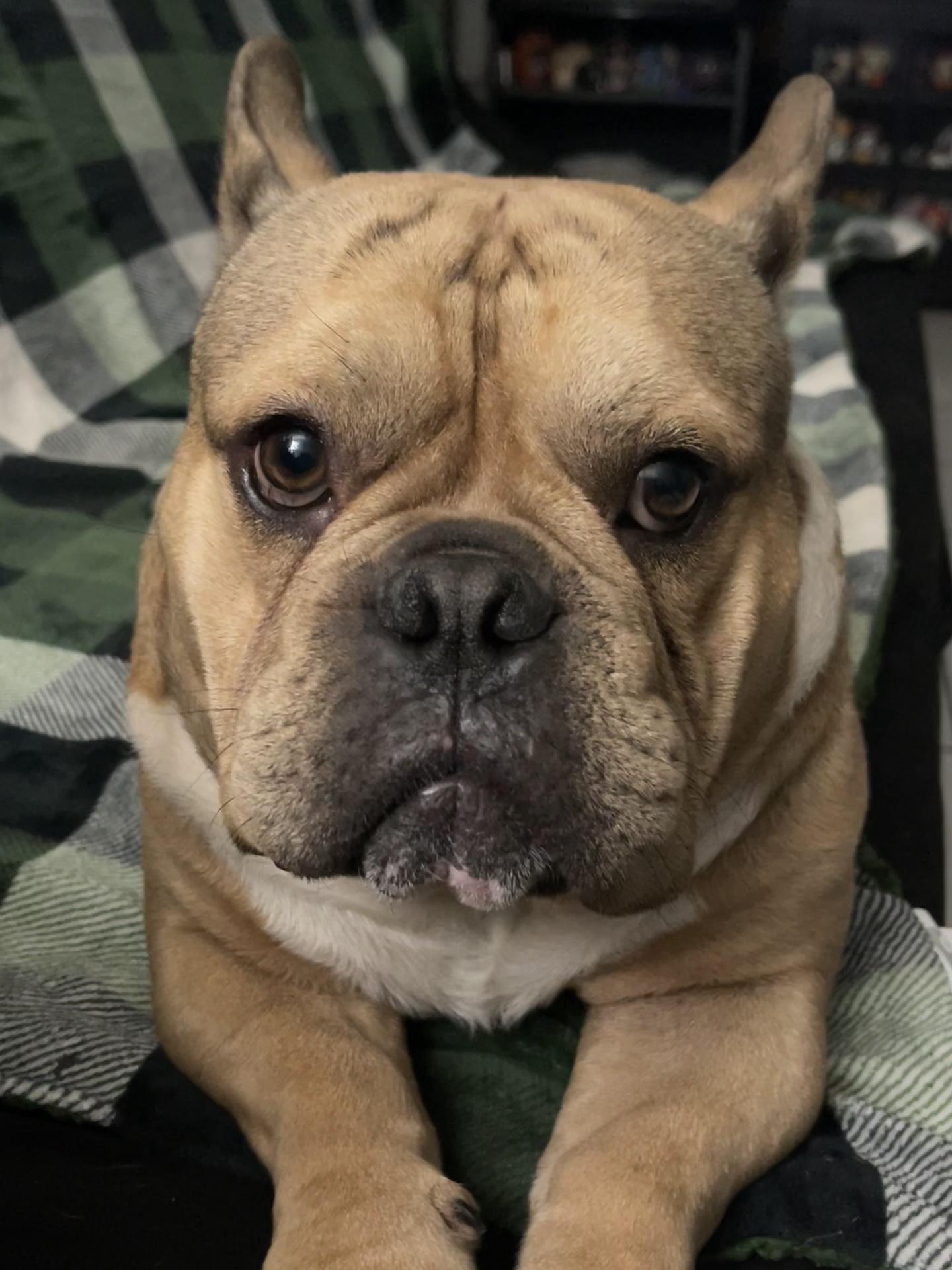 @🐾🐾🐾